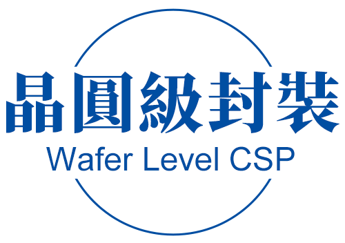 RFID 晶圓級封裝 Wafer Level CSP